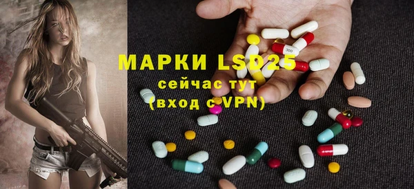 прущий лед Семёнов