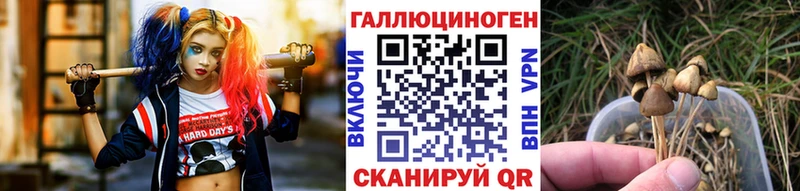 Псилоцибиновые грибы ЛСД  ссылка на мегу ТОР  Горнозаводск 